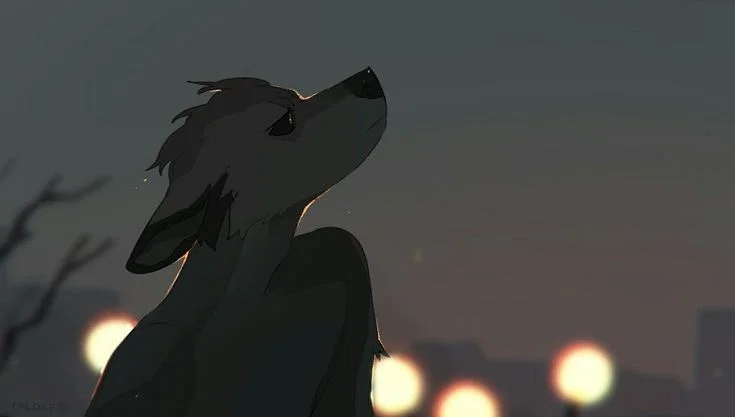 World I Used to Know