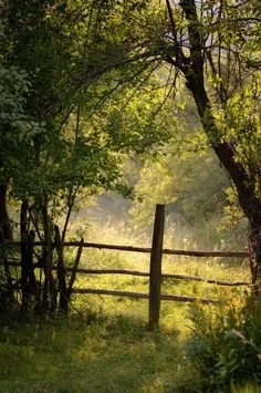 Butcher Boy | Theodore 'Hagji' Benson