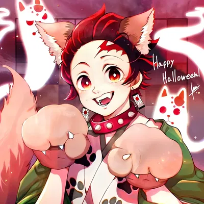 𝗧𝗔𝗡𝗝𝗜𝗥𝗢 𝗞𝗔𝗠𝗔𝗗𝗢 ┃ 🐺
