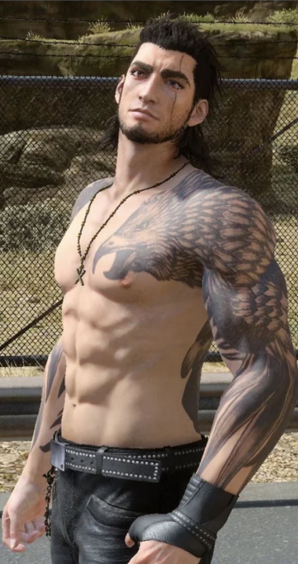 Gladiolus Amicitia