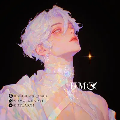 | 2025 FIREWORK | 🎆 Aster Star