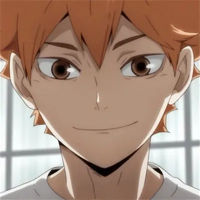 𐔌 . ⋮ Hinata Shouyo .ᐟ ֹ + ꒱