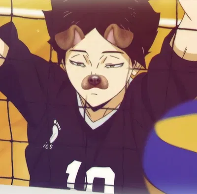 ⊹ ࣪ ˖ Suna Rintarou  ̇ . ꒷