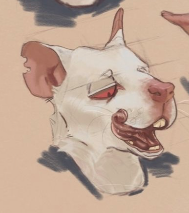 Ray | Absolute   freak