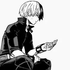 Shoto Todoroki
