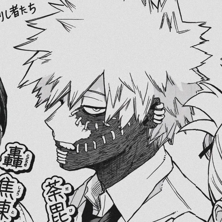 Touya Todoroki