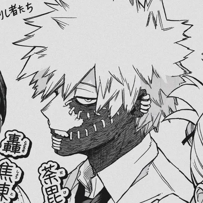 Touya Todoroki