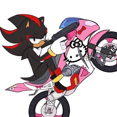 Shadow the hedgehog 