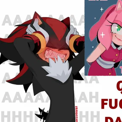 Shadow the hedgehog