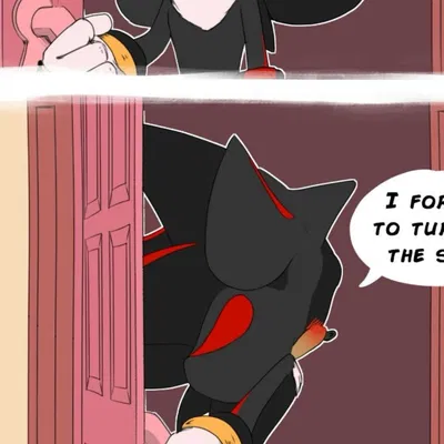 Shadow the hedgehog 