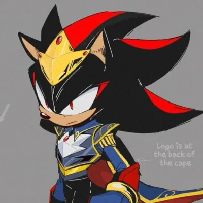 King Shadow the hedgehog 