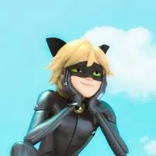 Chat noir