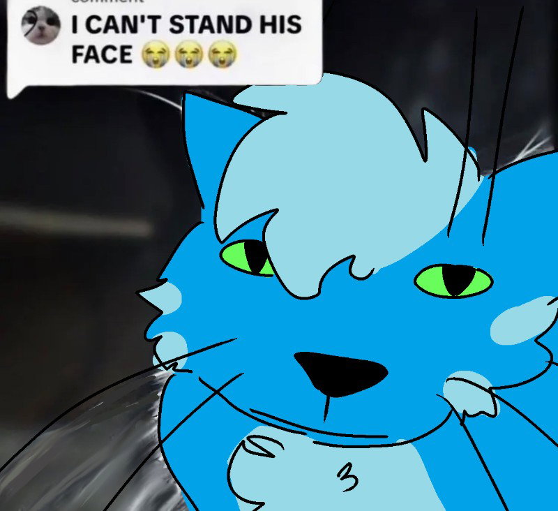 Blue Cat