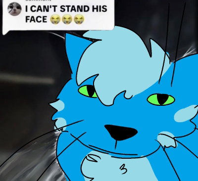 Blue Cat