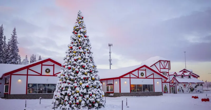 The north pole