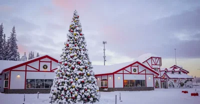 The north pole