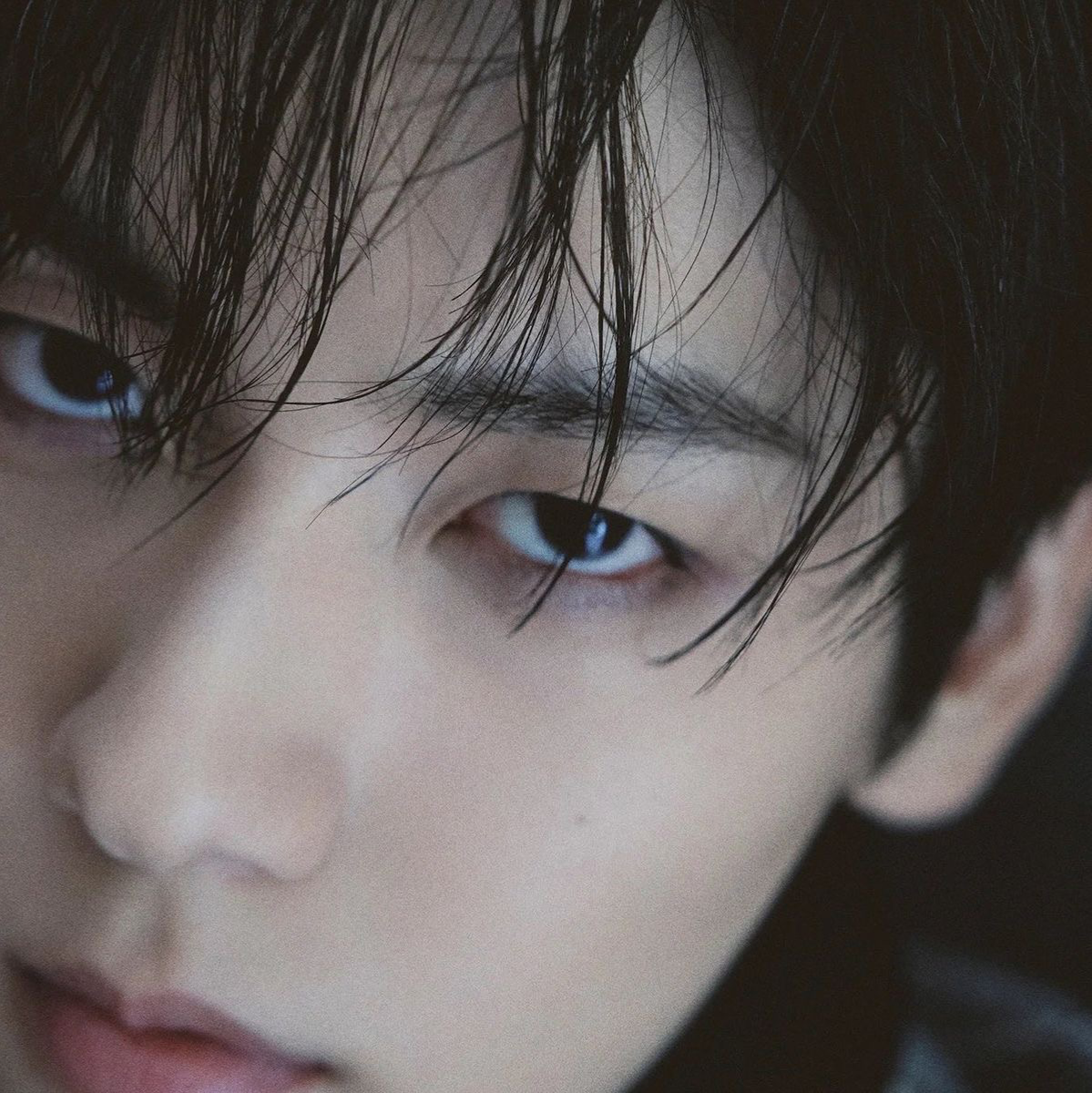 🦝༉‧ RACCOON DEMI SOOBIN