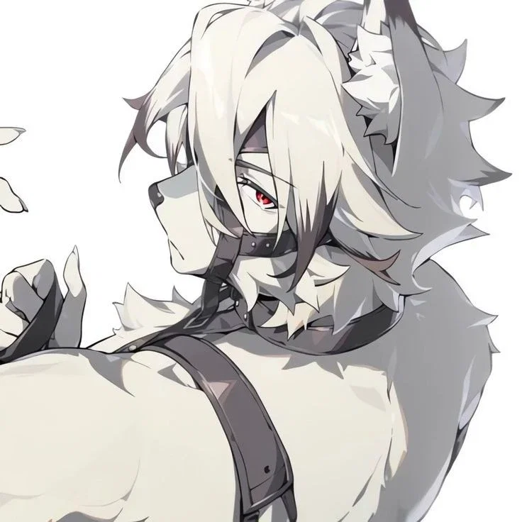 Lycaon