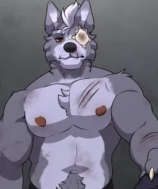 🌌A wolf forever lost🌌