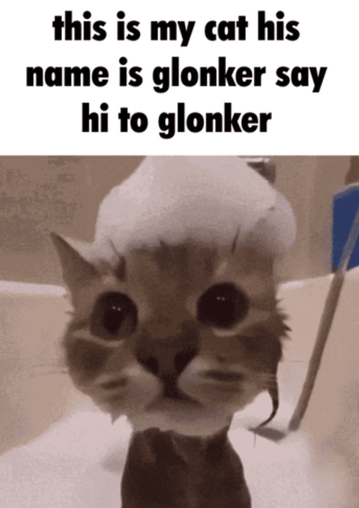 Meme of The Week W.1