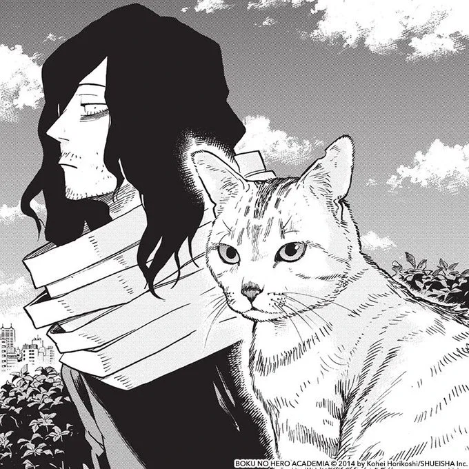 Shota Aizawa | Knottyverse Crossover
