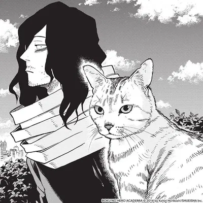 Shota Aizawa | Knottyverse Crossover
