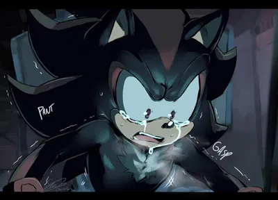 ✦ | Shadow the Hedgehog