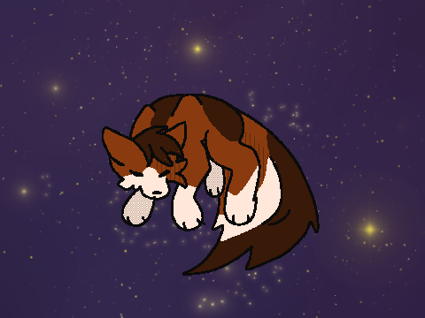 Floating cat