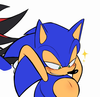 Sonic T Hedgehog !! || um.....GUN agent