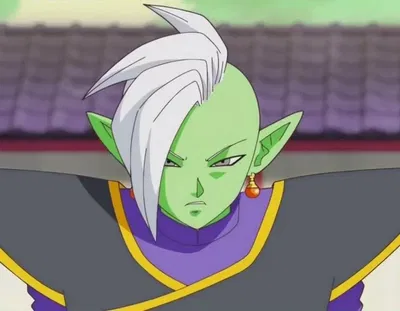 Zamasu 
