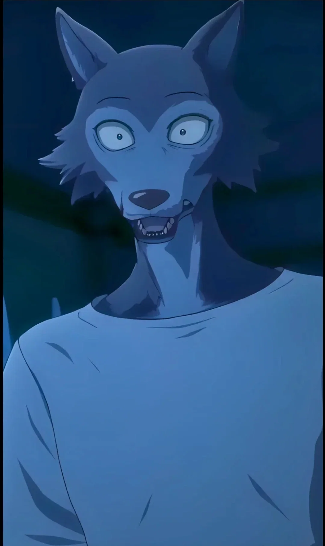 Legoshi|Beastars|Anime