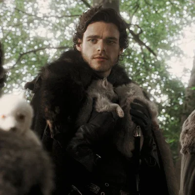 Robb Stark 