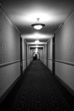 Level -1: "Grayscale Halls"