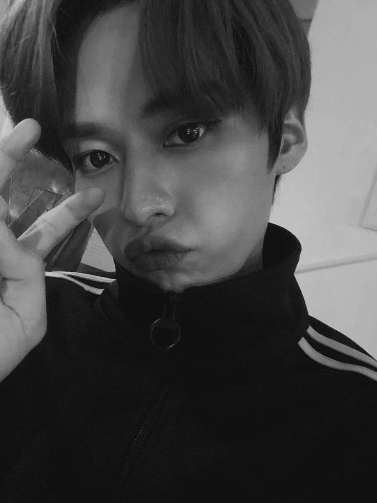 Lee Know (Minho)