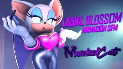 Rouge the Bat