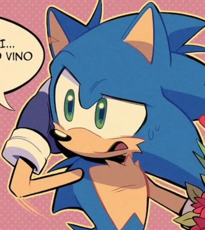 Sonic the hedgehog 