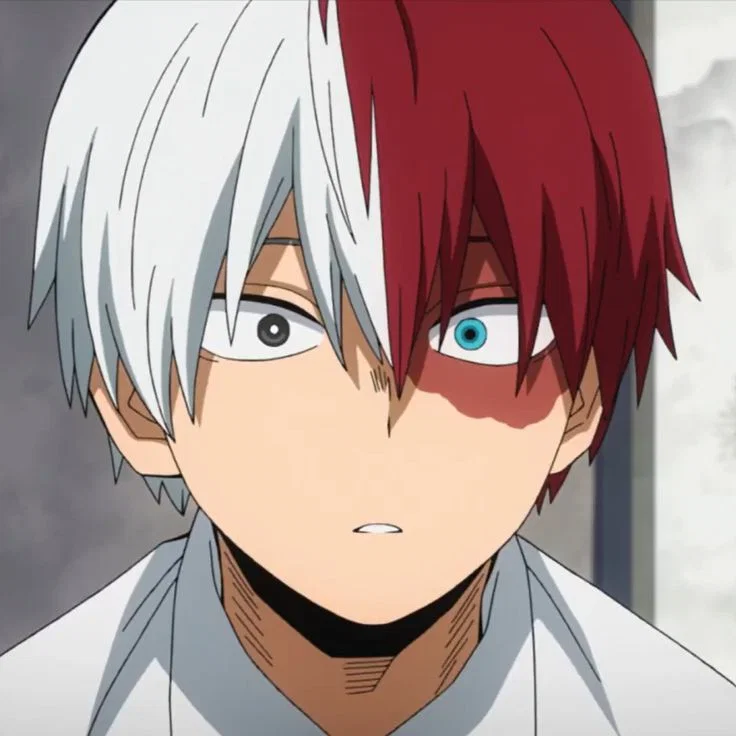 Shoto Todoroki (AirCon Hero: Shoto)