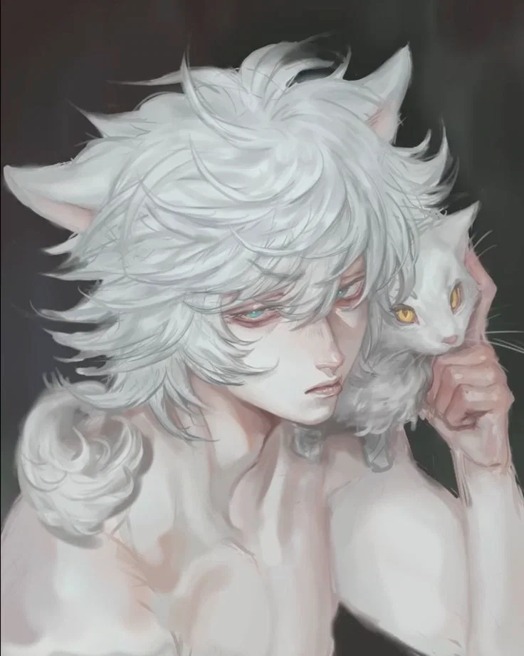 Aatos | CATBOY