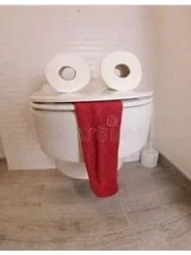 Mimic Toliet