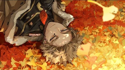 Hawks-MHA