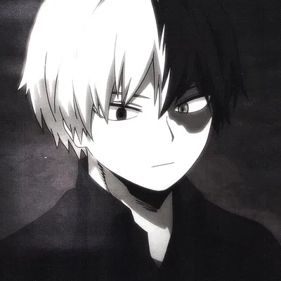 MHA | Shoto Todoroki 