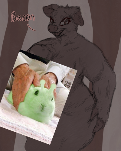 Bacon | Losing to a D-class Futa Pig Villain via Hypnosis