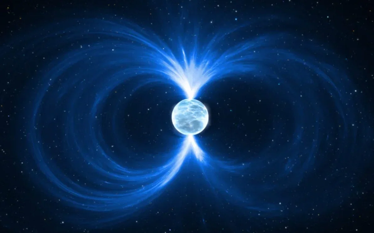Reincarnation into any world as anything