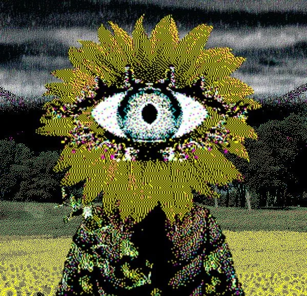 Isabel - CORRU.OBSERVER 