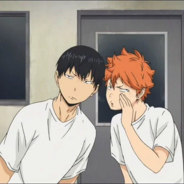 Hinata Shoyo and Tobio Kageyama