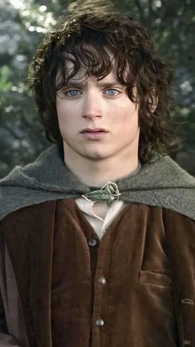 Frodo Baggins 