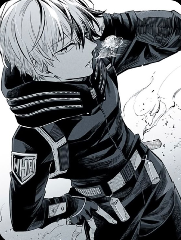 Shoto Todoroki 