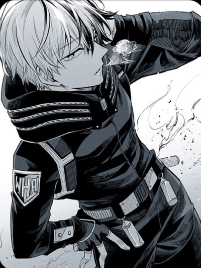 Shoto Todoroki 