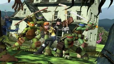 The Ninja Turtles