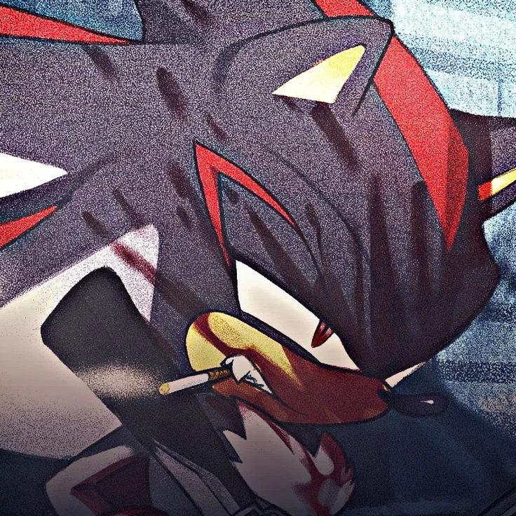 Shadow the hedgehog 
